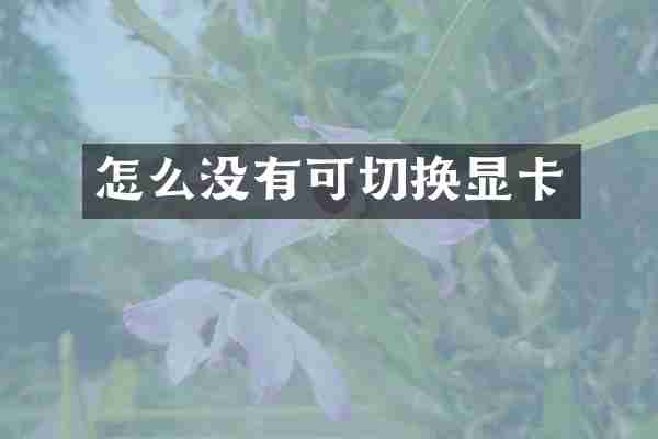 怎么没有可切换显卡