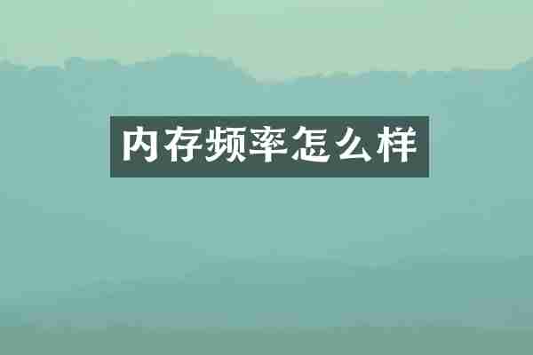 内存频率怎么样
