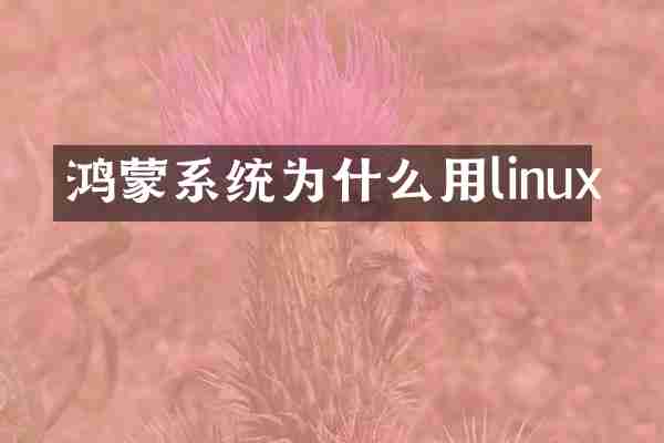 鸿蒙系统为什么用linux