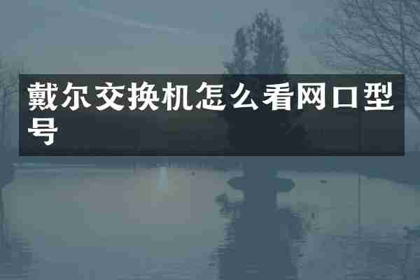 戴尔交换机怎么看网口型号