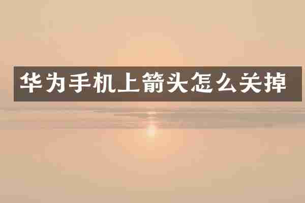 华为手机上箭头怎么关掉