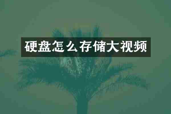 硬盘怎么存储大视频