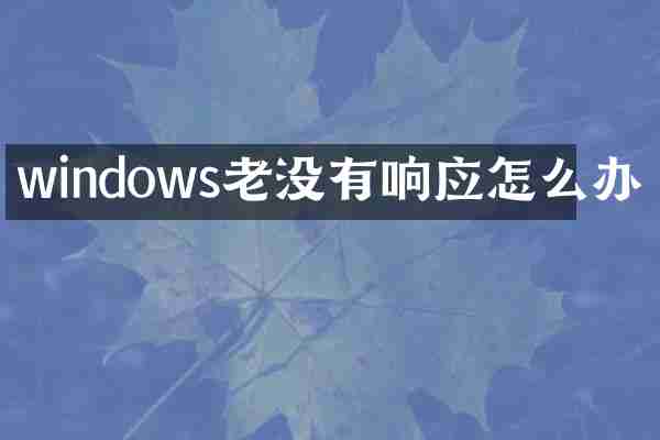 windows老没有响应怎么办