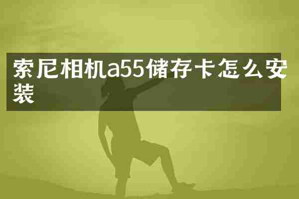 索尼相机a55储存卡怎么安装