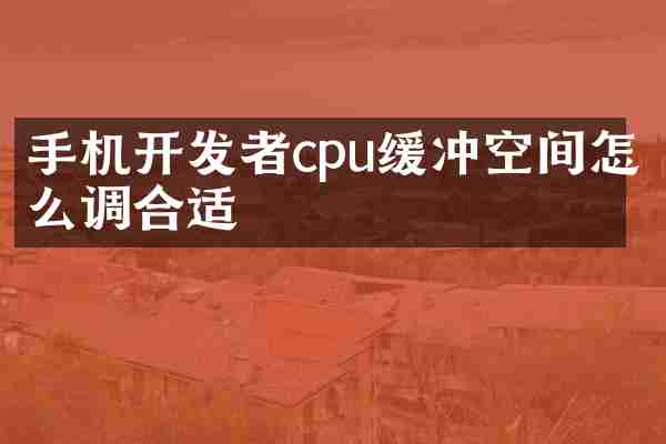 手机开发者cpu缓冲空间怎么调合适
