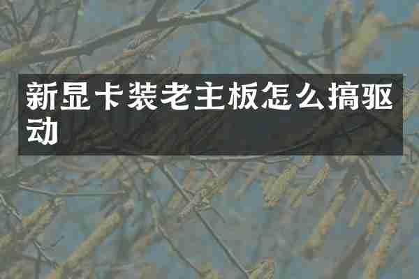 新显卡装老主板怎么搞驱动