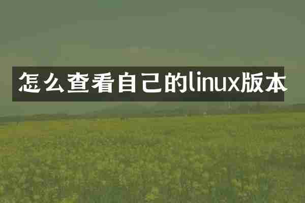怎么查看自己的linux版本