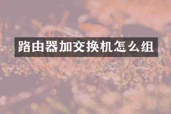 路由器加交换机怎么组