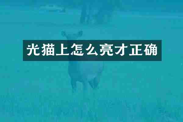 光猫上怎么亮才正确