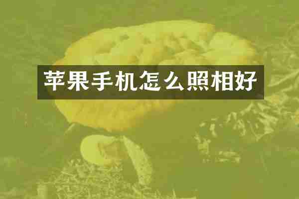 苹果手机怎么照相好