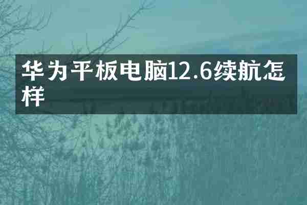 华为平板电脑12.6续航怎么样