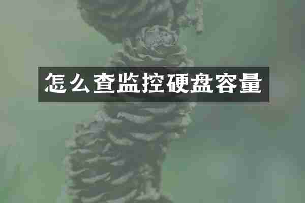 怎么查监控硬盘容量