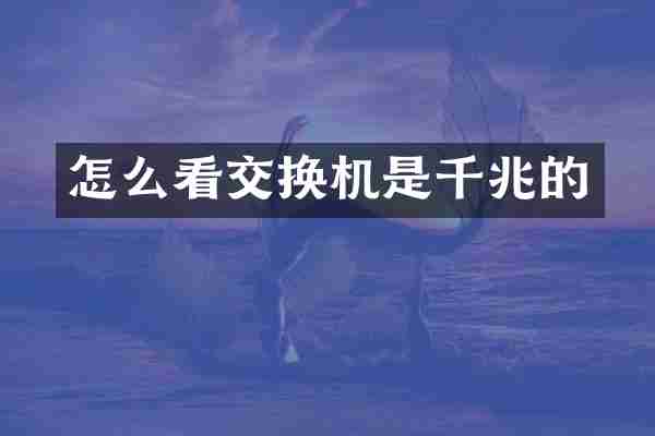怎么看交换机是千兆的