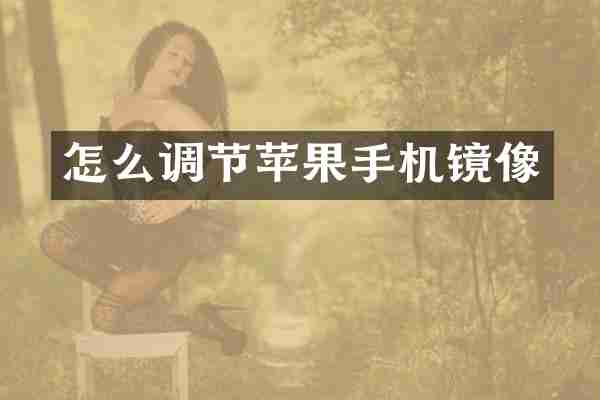 怎么调节苹果手机镜像