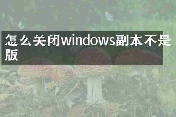 怎么关闭windows副本不是正版
