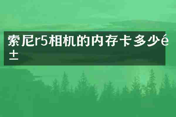 r5相机的内存卡多少钱