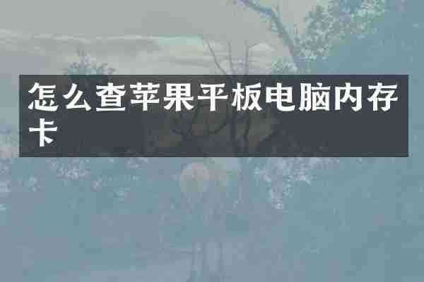 怎么查苹果平板电脑内存卡