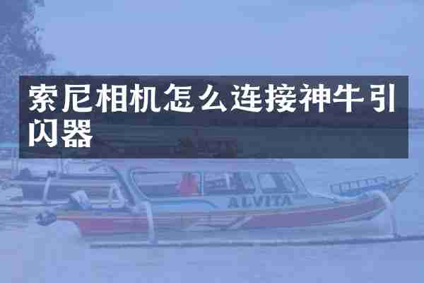 相机怎么连接神牛引闪器
