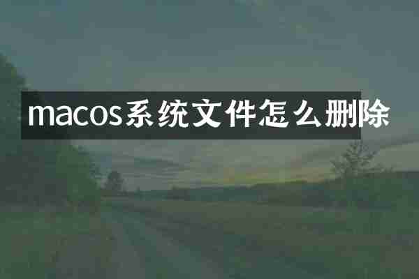macos系统文件怎么删除
