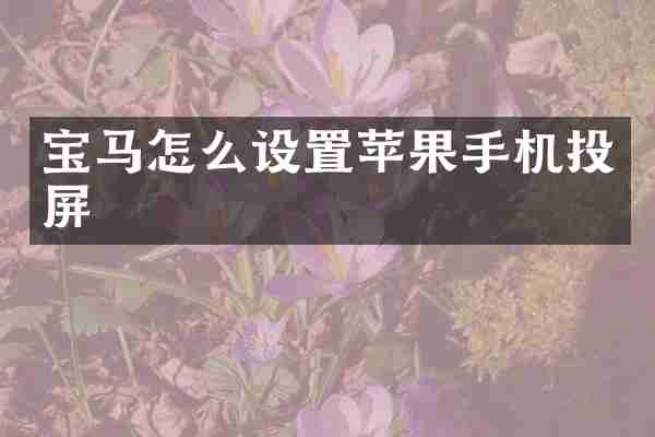 宝马怎么设置苹果手机投屏