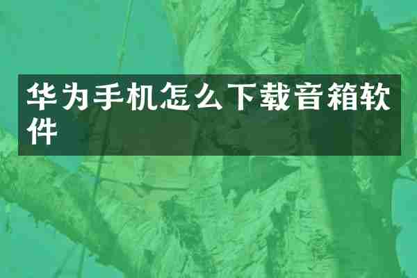 华为手机怎么下载音箱软件