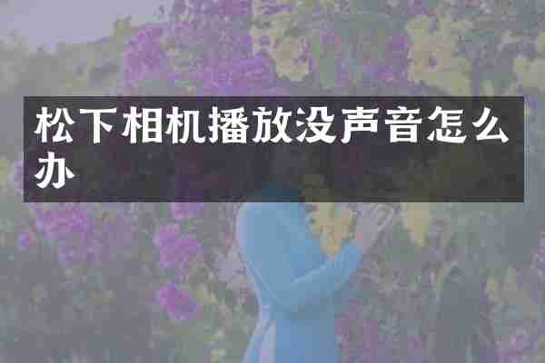 松下相机播放没声音怎么办