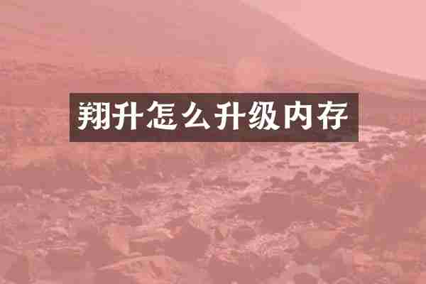 翔升怎么升级内存