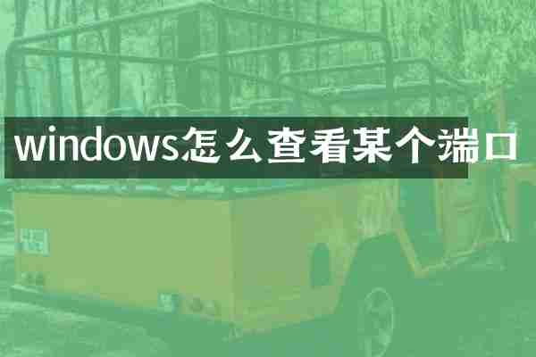 windows怎么查看某个端口