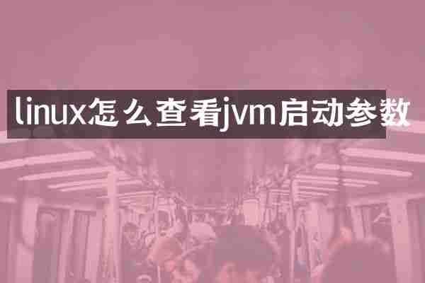 linux怎么查看jvm启动参数