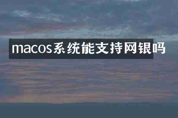 macos系统能支持网银吗