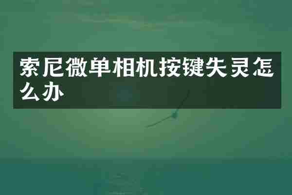 微单相机按键失灵怎么办