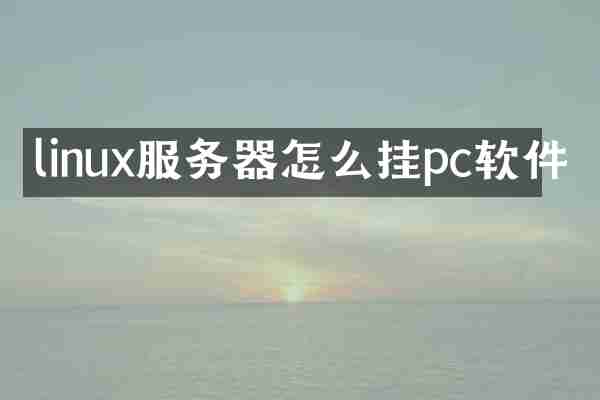 linux服务器怎么挂pc软件