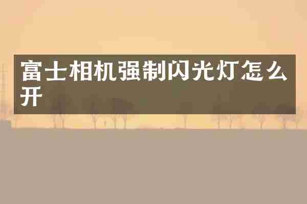 富士相机强制闪光灯怎么开