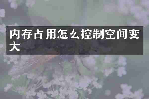 内存占用怎么控制空间变大