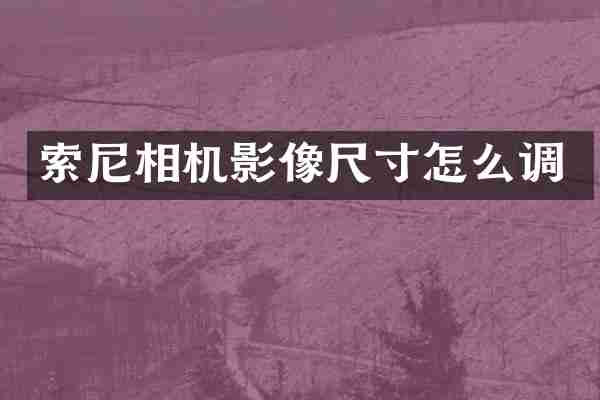 相机影像尺寸怎么调