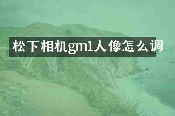 相机gm1人像怎么调