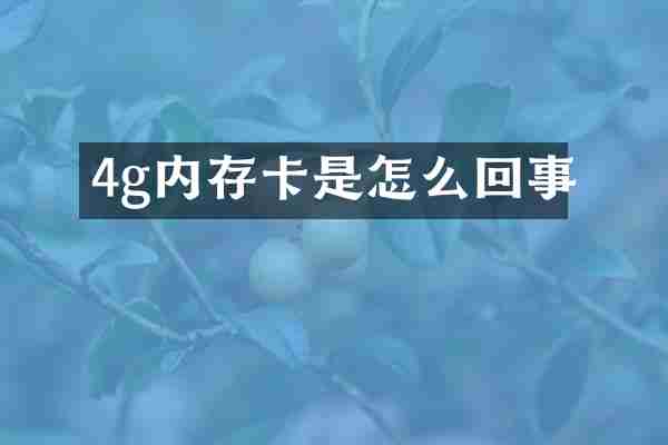 4g内存卡是怎么回事