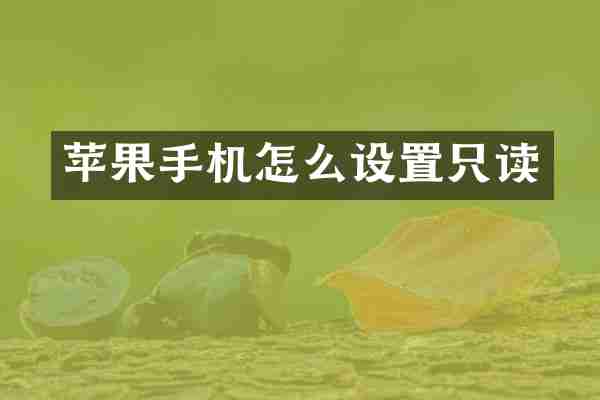 苹果手机怎么设置只读