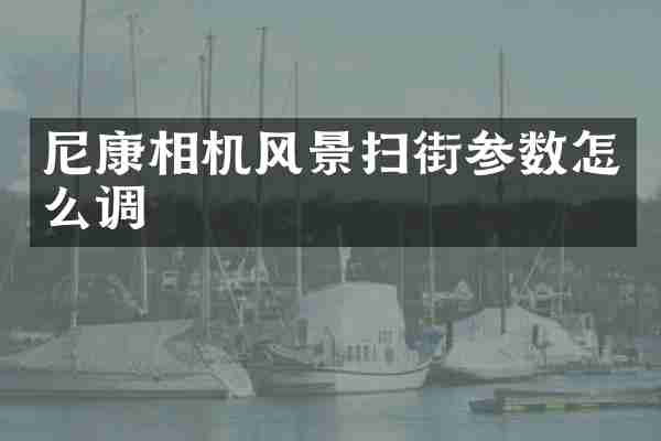 尼康相机风景扫街参数怎么调