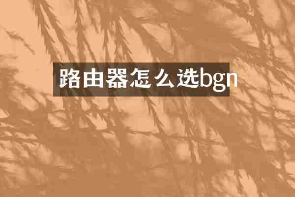 路由器怎么选bgn