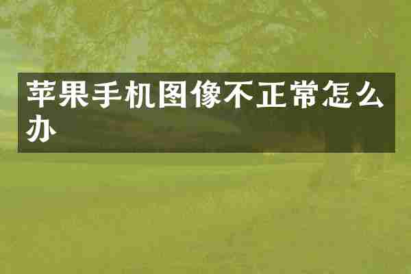 苹果手机图像不正常怎么办