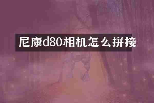 尼康d80相机怎么拼接