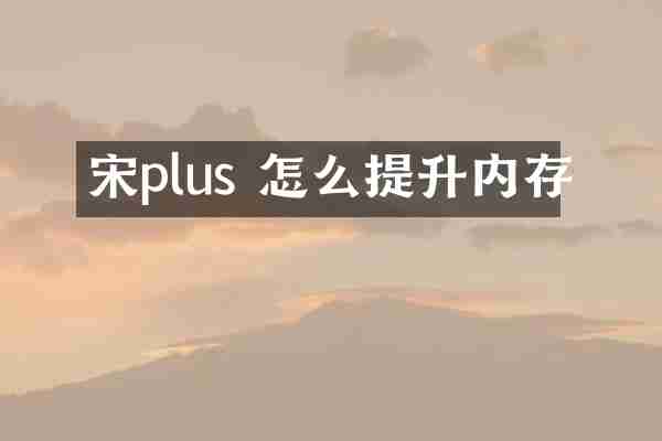 宋plus 怎么提升内存