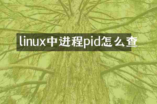linux中进程pid怎么查