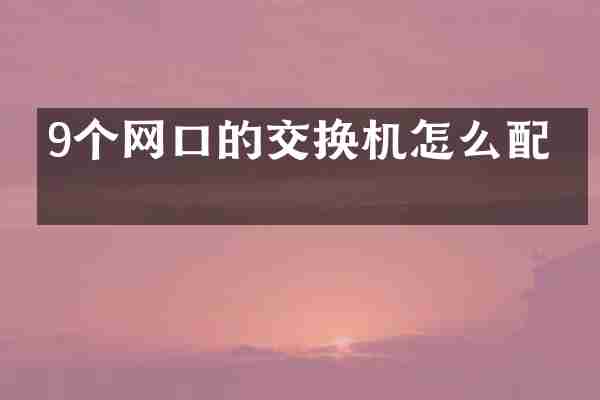 9个网口的交换机怎么配置
