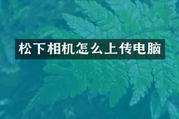 相机怎么上传电脑