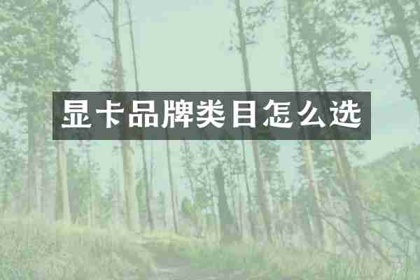 显卡品牌类目怎么选