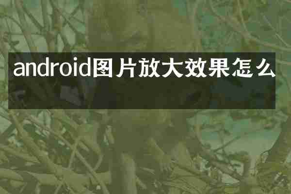 android图片放大效果怎么做
