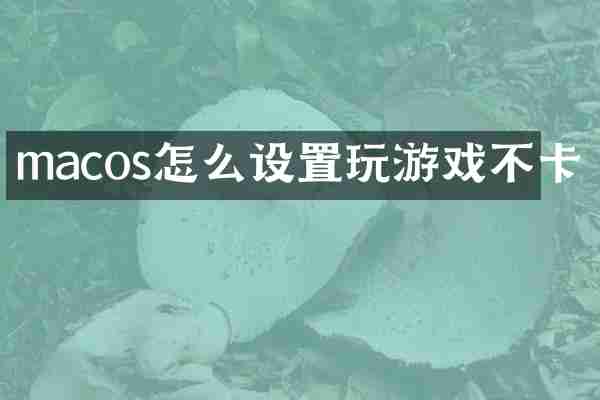 macos怎么设置玩游戏不卡