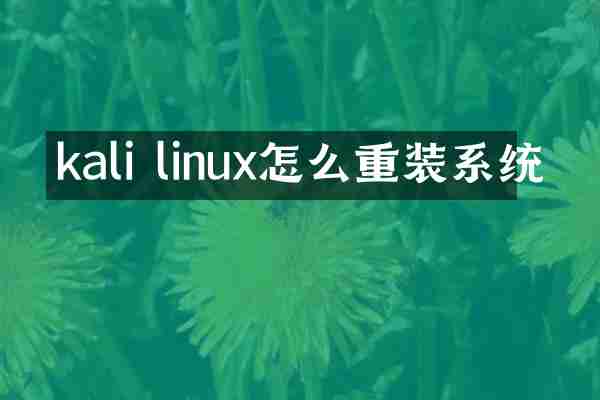 kali linux怎么重装系统